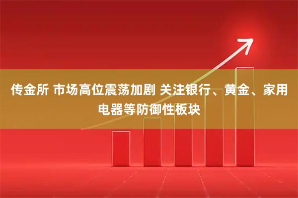 传金所 市场高位震荡加剧 关注银行、黄金、家用电器等防御性板块