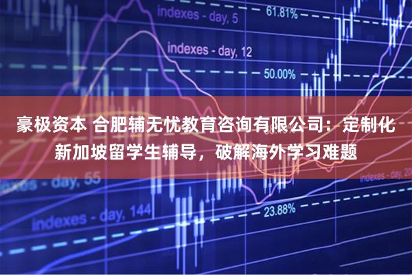 豪极资本 合肥辅无忧教育咨询有限公司：定制化新加坡留学生辅导，破解海外学习难题